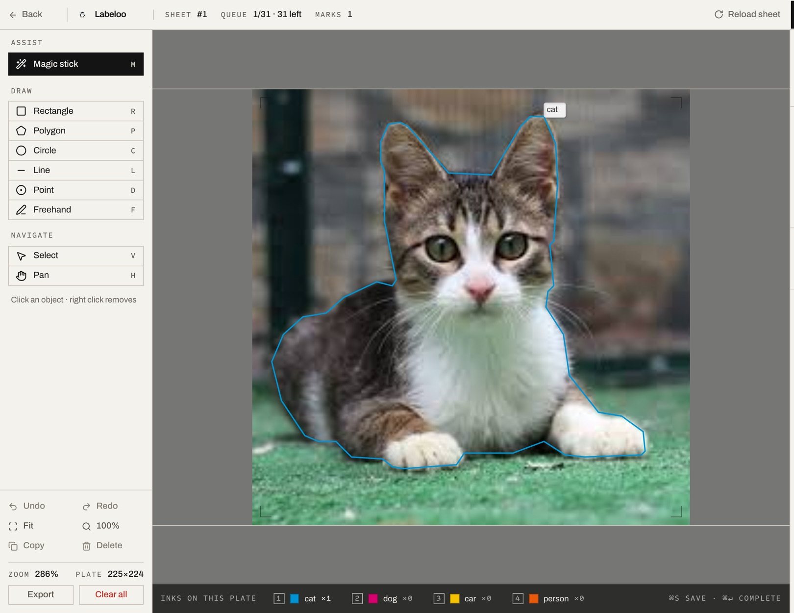 The annotation screen with a mask traced around a cat, assigned to the class cat